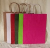 22 x 18 x 8 cms - Paper Carriers - 12 Colours -Twisted handles