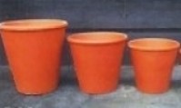 Terracotta Rosen Pots
